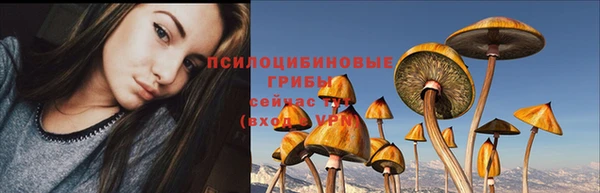 винт Абинск
